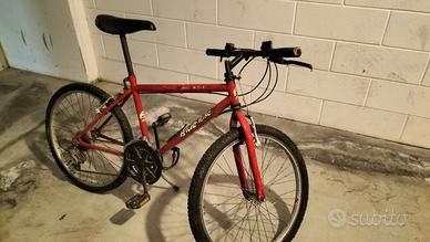 mountain bike  ragazzo ruota da  24 