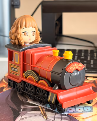 Harry potter eurospin broomz hermione granger