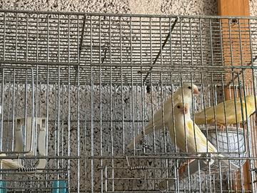 Si cede tutto in blocco