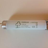 4 Tubi al Neon Osram L 36W/865 Lumilux Daylight