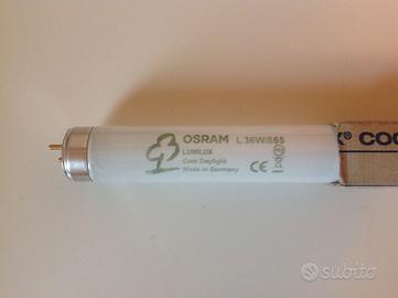 4 Tubi al Neon Osram L 36W/865 Lumilux Daylight