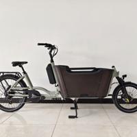 Aigeni Cargo e-bike 