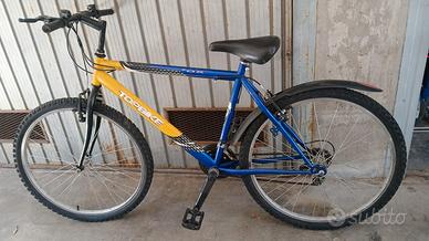 Bicicletta per ragazzi