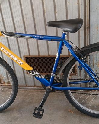 Bicicletta per ragazzi