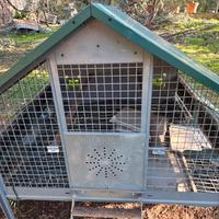 pollaio per galline ovaiole in accaio