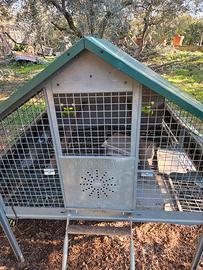 pollaio per galline ovaiole in accaio