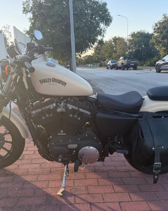 Harley Davidson 883 IRON