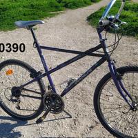 Bianchi ragno thomisus a poco prezzo