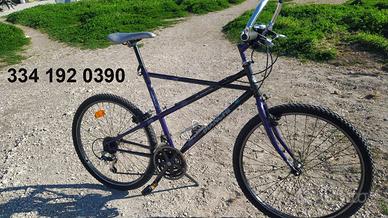 Bianchi ragno thomisus a poco prezzo