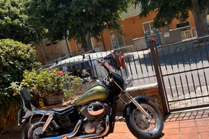 Honda Shadow VT7 50 C2