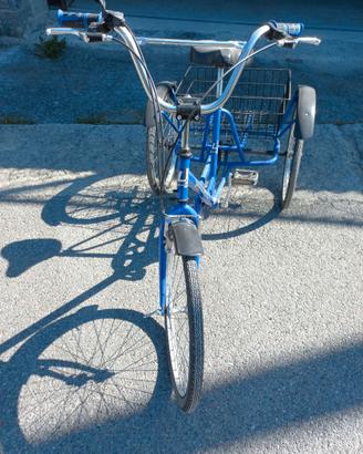 Bicicletta unisex