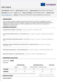 Autista, corriere, vigilanza, fabbrica ecc