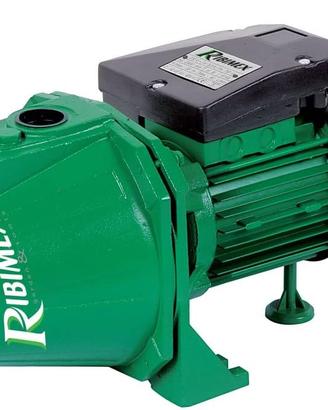 Ribimex Pompa di Superficie Autoadescante JET 81, 