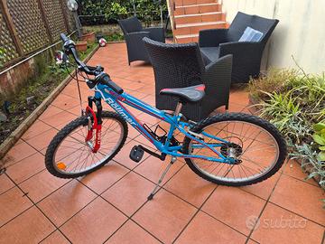 Bicicletta Rollmar Climb Mtb 