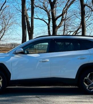 HYUNDAI Tucson 1.6 HEV 2WD excellent
