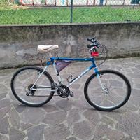 mtb bottecchia 