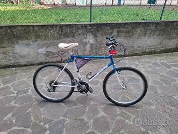 mtb bottecchia 