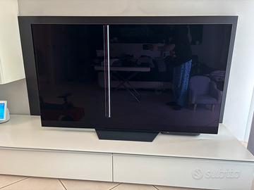 LG OLED 65” SCHERMO ROTTO