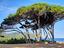 Immagine 19