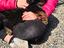Immagine 2