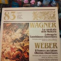 Disco 33 giri Wagner Weber 