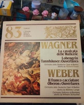 Disco 33 giri Wagner Weber 