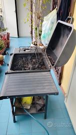 barbecue da giardino 