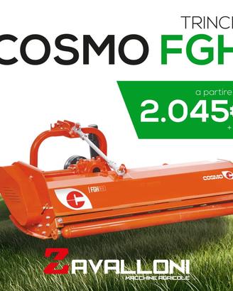 Trinciasarmenti COSMO serie FGH - PROMO
