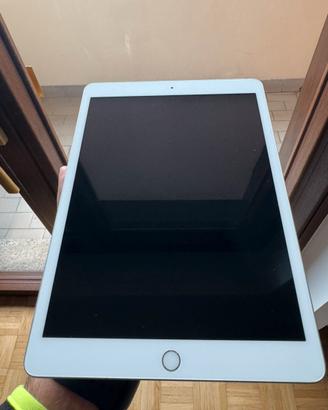 iPad 7ª Gen 32GB Wi-Fi – Perfetto, funzionante