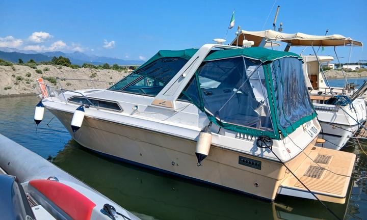 Sea Ray 270 Valutiamo Permuta