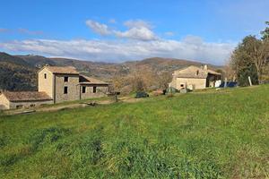 Azienda Agricola a Baschi