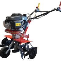 Motozappa Benassi BL 5000 H