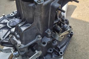 Cambio Innesti Frontali Zanghellini