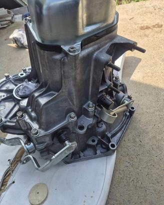 Cambio Innesti Frontali Zanghellini