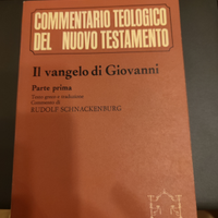 Commentario teologico Nuovo Testamento