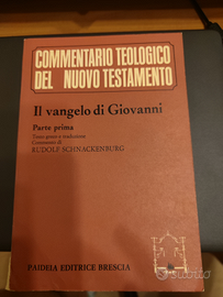 Commentario teologico Nuovo Testamento