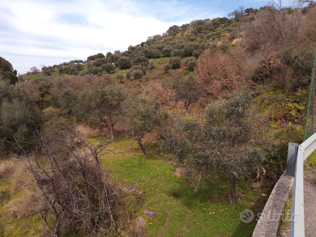 Terreno agricolo