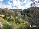ter-agricolo-a-vieste