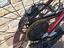 Immagine 4