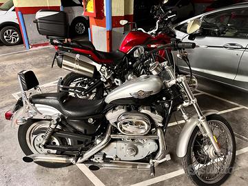 Harley Davidson 883 centenario