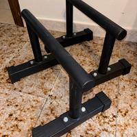 Parallele RAMASS Calisthenics