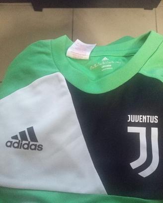 Maglia e pantaloncino Portiere Adidas