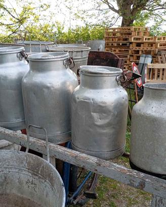 vecchi fusti o bidoni per il latte da cm 35 a 45