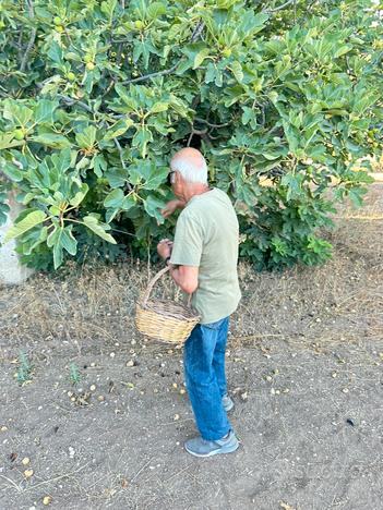 Terreno agricolo