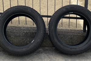 Pneumatici invernali Bridgestone 225/55 R17