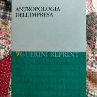 Antropologia dell'impresa