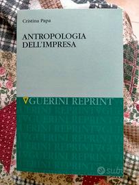 Antropologia dell'impresa