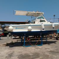 Poly Form Barracuda 24 + VM 250 CV linea d'asse
