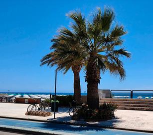 Appartamento Terracina 