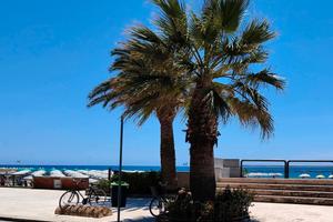 Appartamento Terracina 